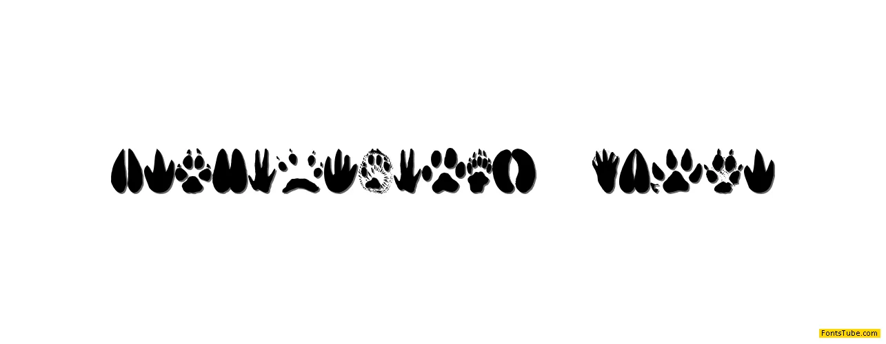 Animal Tracks