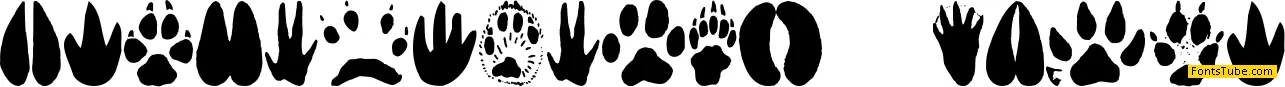 Animal Tracks