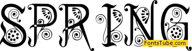 Spring Font