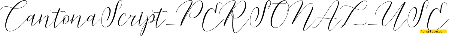 Cantona Script Font