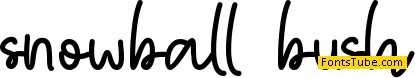 snowball bush Font