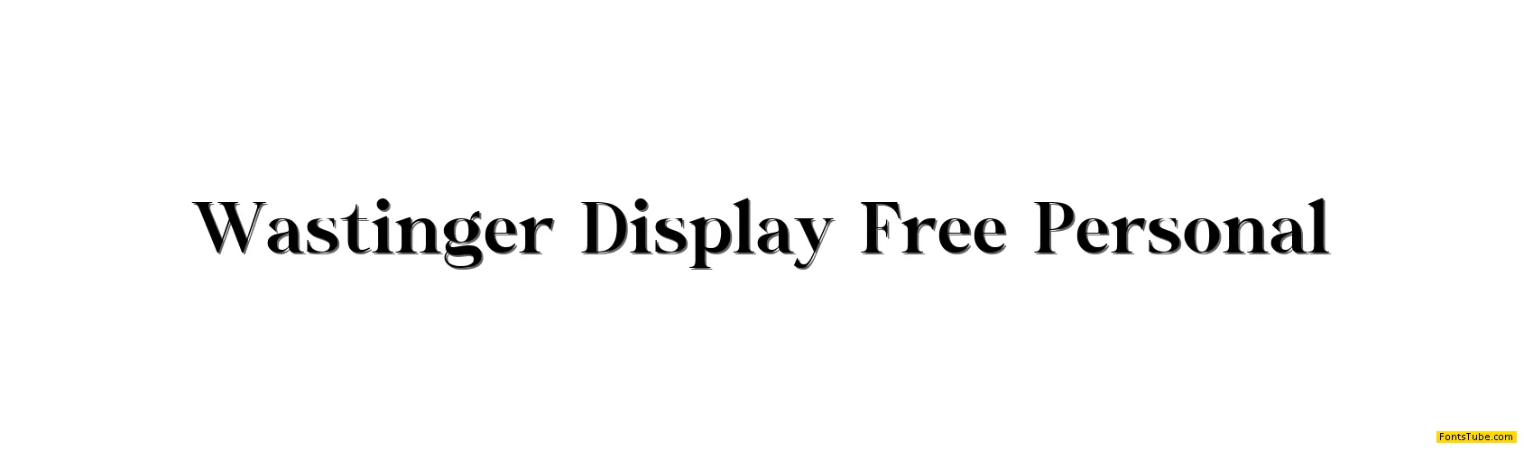 Wastinger Display