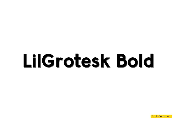 Lil Grotesk Font Family