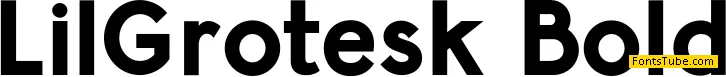 Lil Grotesk Font Family