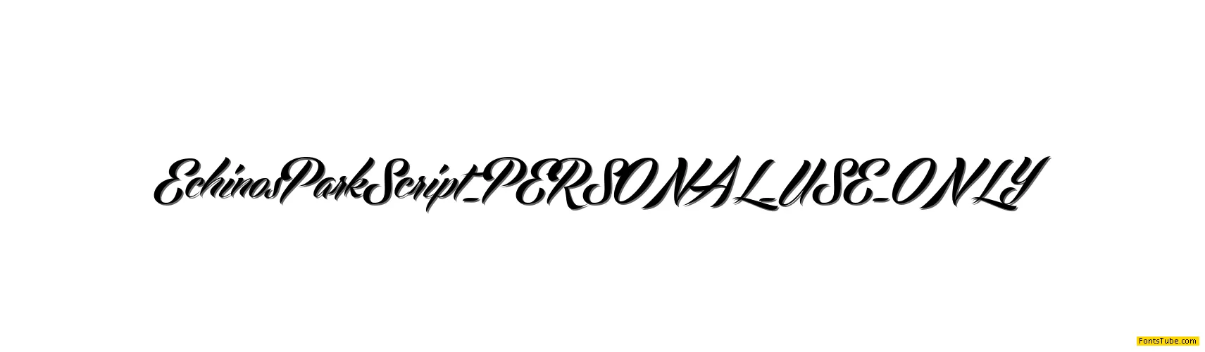 Echinos Park Script PERSONAL USE ONLY Font