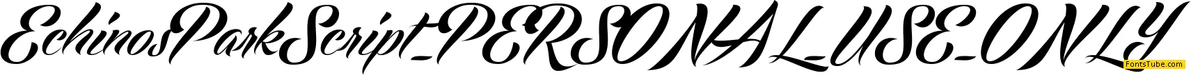 Echinos Park Script PERSONAL USE ONLY Font