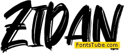 Zidan
