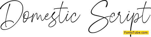 Domestic Script Font