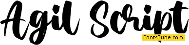 Agil Script