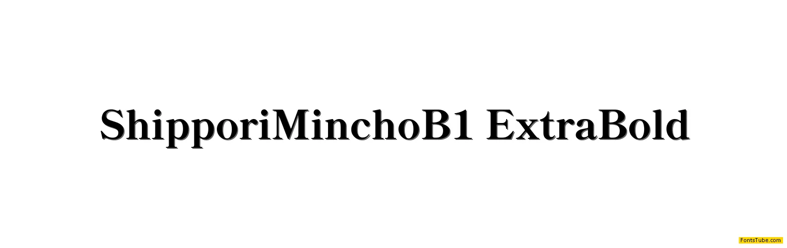 Shippori Mincho B1