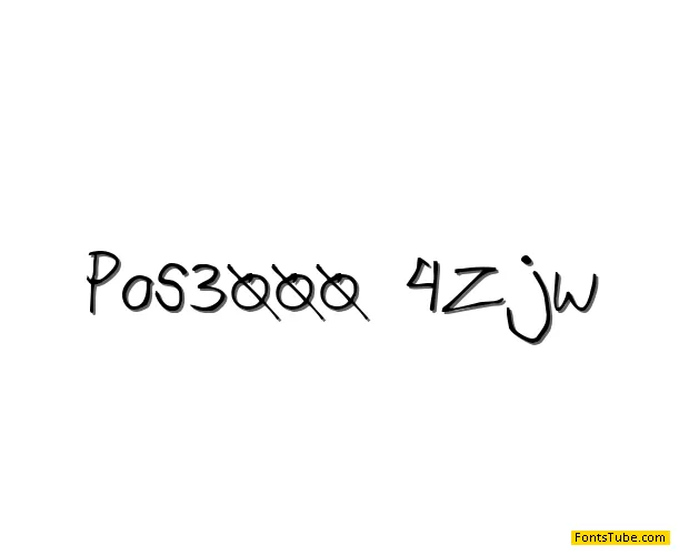 P.O.S 3000