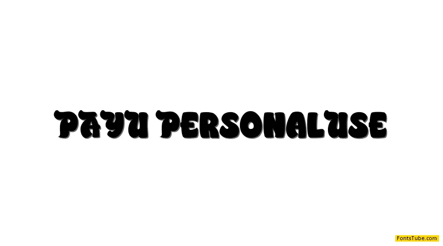 PAYU Font