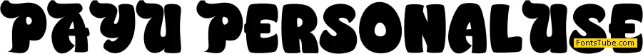 PAYU Font