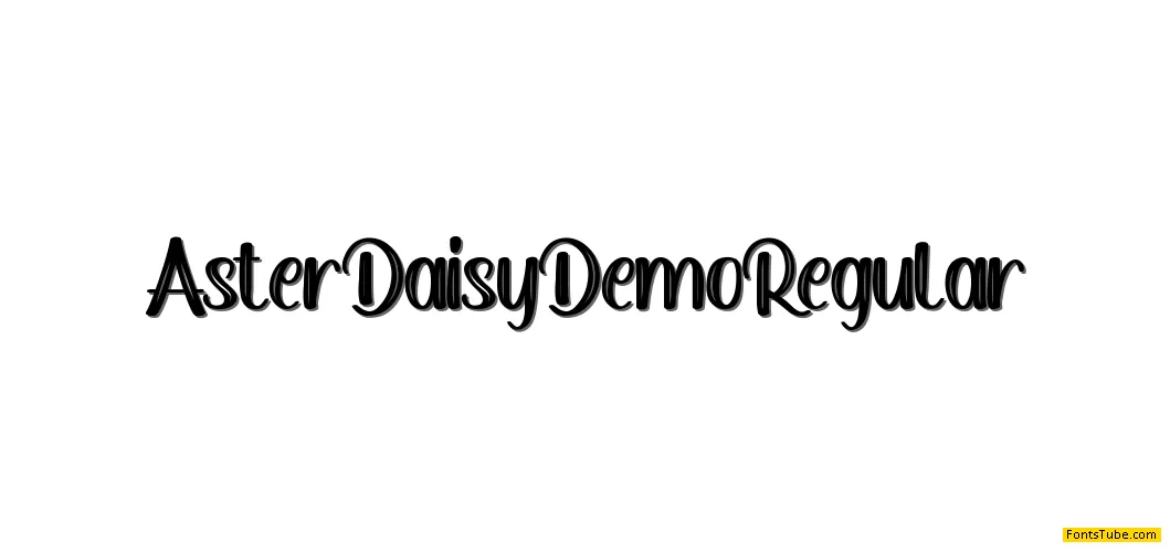 Aster Daisy