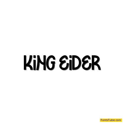 King Eider
