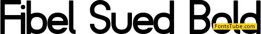 Fibel Sued Font Family