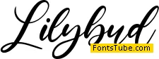 Lilybud Font