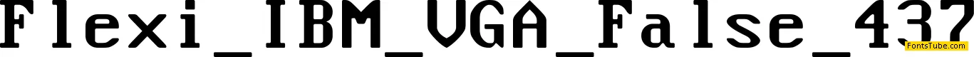 Flexi IBM VGA False Font Family