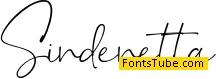 Sindenetta