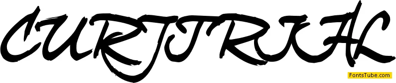curly Joe Font Family