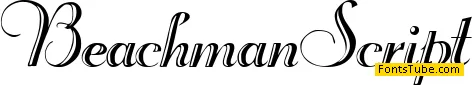 Beachman Script Font