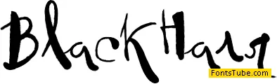 Vtks BlackHair Font