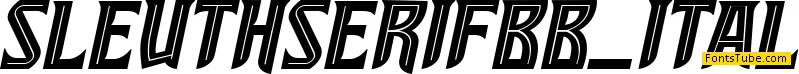 SleuthSerif BB Font Family