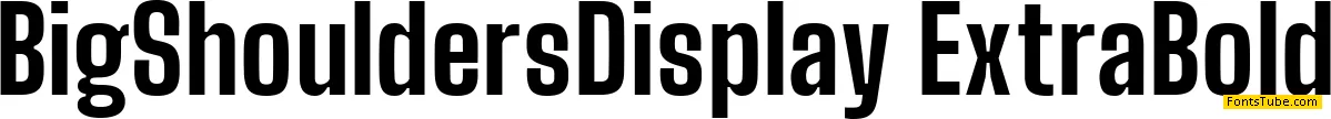 Big Shoulders Display Font Family
