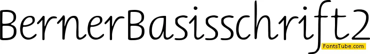 Berner Basisschrift Font Family