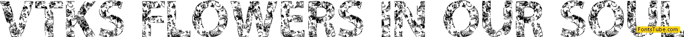VTKS FLOWERS IN OUR SOUL Font