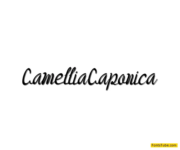 Camellia Caponica Font