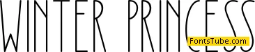 Winter Princess Font