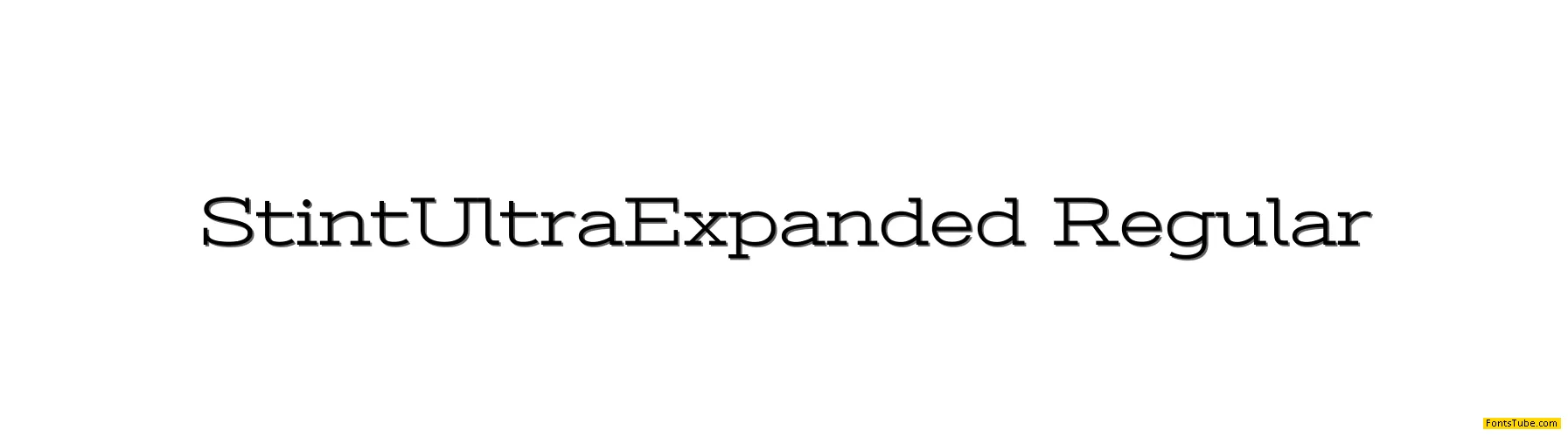 Stint Ultra Expanded