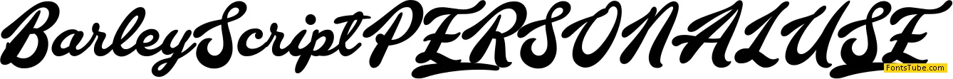 Barley Script PERSONAL USE Font
