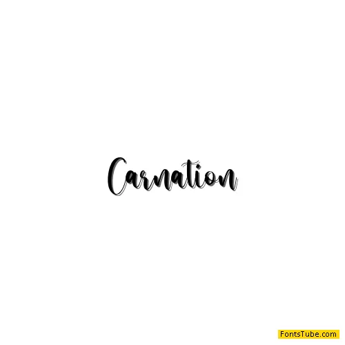 Carnation Script