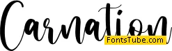 Carnation Script