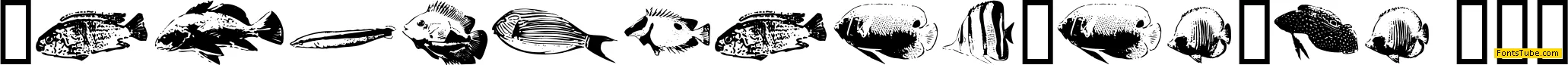 FishyPrint One AOE