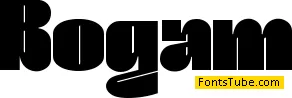 Bogam